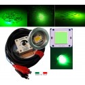 Lampada per calamari-led verde (1x50W  lm.5500)